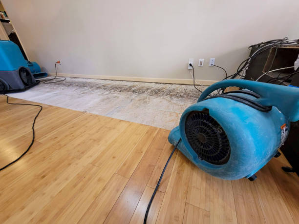 Professional Basement Flood Cleanup technician working in Piru, CA